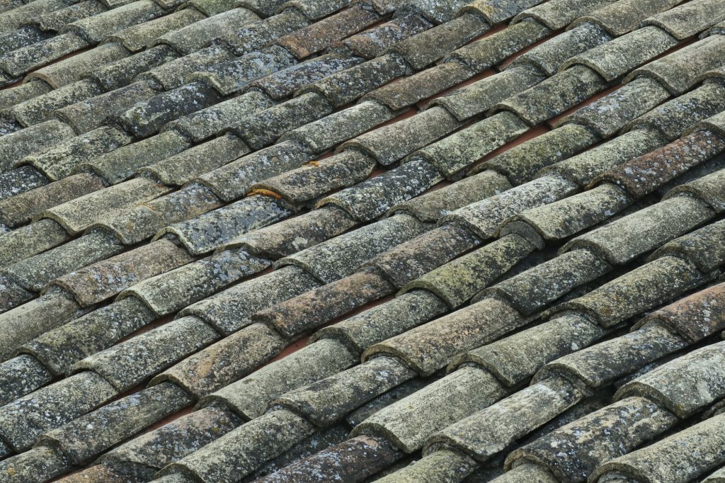 The Top Signs That Your Roof Needs Repair or Replacement