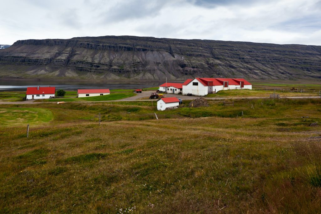 Icelandic Nature Landscape with Mountains and Dwellings